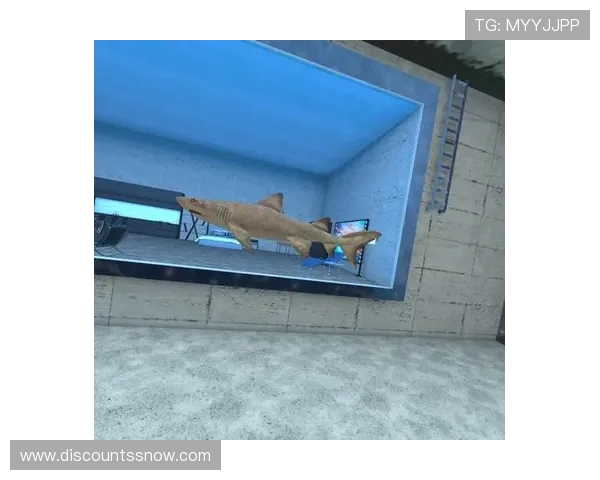 爱游戏真人娱乐平台带你体验沉浸式的真实游戏乐趣